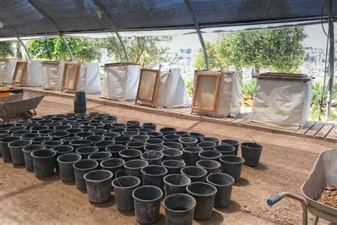 Large Pots For Planting Trees In The Zurim National Park In Jerusalem
