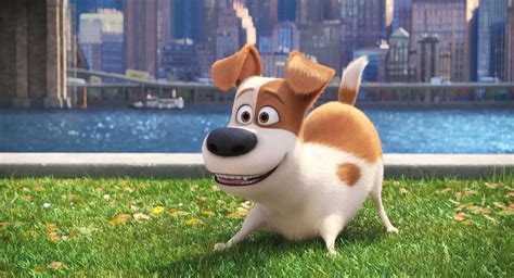 Review: 'The Secret Life of Pets' Amuses, but Misses Opportunities - The New York Times