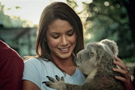 Brisbane River Cruise And Koala Sanctuary Tour