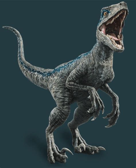 Jurassic World Fallen Kingdom Full Photo Of The Velociraptor Blue
