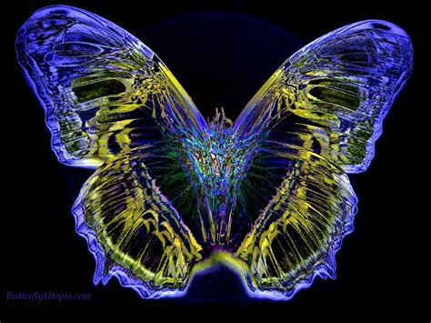 50 Free Butterfly Screensavers And Wallpapers On
