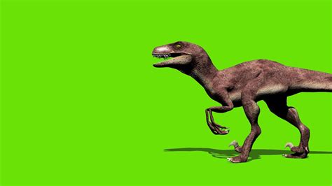 Jurassic Park Raptors Green Screen Animation 2018 Youtube