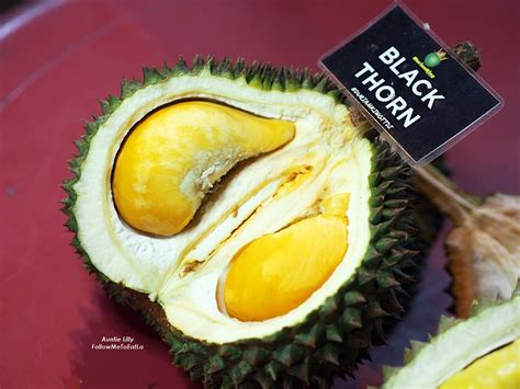 The black thorn has a smooth creamy texture, and is on par with the famous musang king with its bitterness & sweetness. Follow Me To Eat La - Malaysian Food Blog: BLACK THORN ...