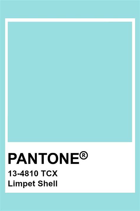 Pantone 13 4810 Tcx Limpet Shell In 2020 Pantone Pantone Color Color