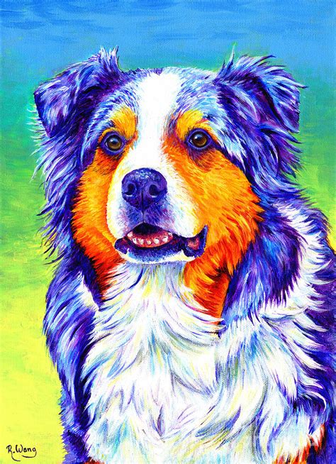 Colorful Blue Merle Australian Shepherd Dog By Rebecca Wang