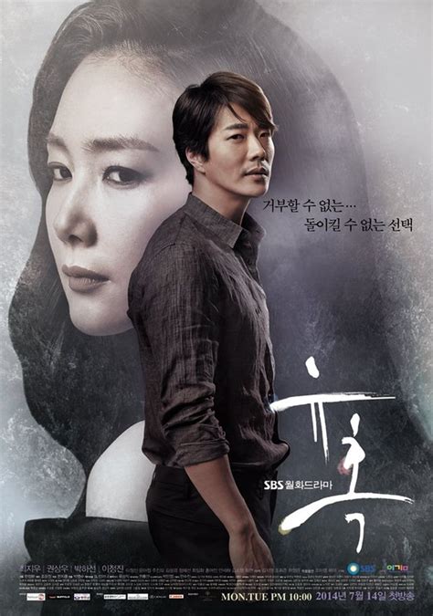 Temptation 2014 Korean Drama Dvd 1 20 Episodes English Sub Region