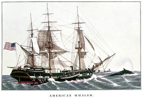 1850s American Whaler Whaling Ship Painting By Vintage Images Pixels