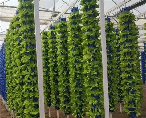 Aeroponics Grow Tower At Best Price In Pune By Globe Florex Id