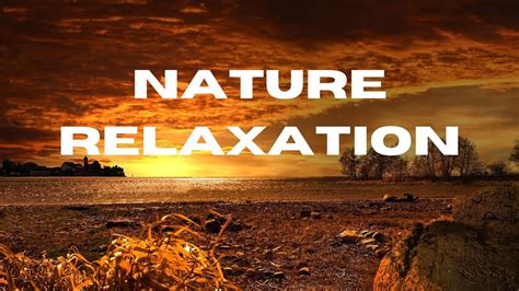 Soothing Stress Relief Music With Beautiful Nature View