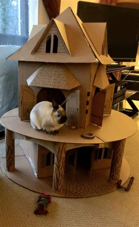 Nice Digs Bunny Cages Indoor Rabbit Bunny House