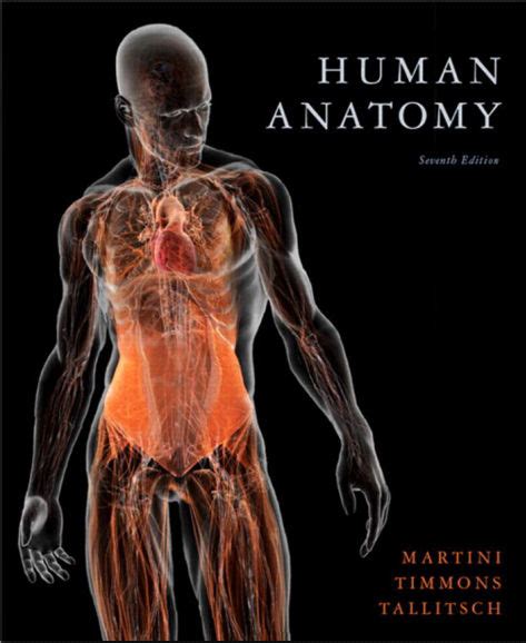 Human Anatomy 7th Edition Pdf Pearson Martini Free Medical Books