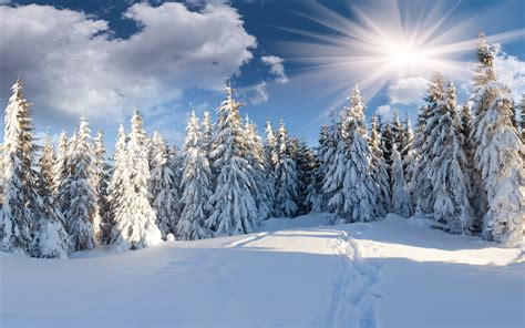 Красивая зима обои для рабочего стола картинки и фото RabStol net