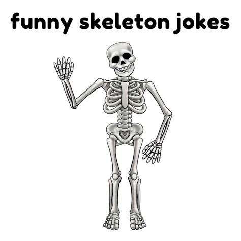 30 Skeleton Jokes Thatll Tickle Your Funny Bone Box Of Puns