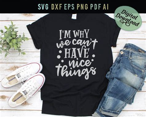 Im Why We Cant Have Nice Things Funny Quote Svg Etsy