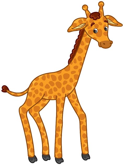 Giraffe Png Images Safari Giraffe Clipart Png Image Transparent Png