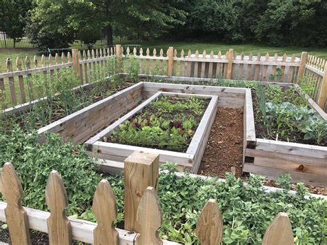 How To Design A Raised Bed Vegetable Garden Image To U