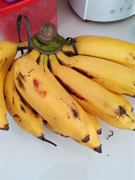 Pisang berangan pisang berangan adalah varieti pisang yang sangat popular di tanam di malaysia sama ada dari segi penanaman, penjualan dan juga penggunaan. Yuk Kenali Jenis Jenis Pisang Raja Yang Ada Di Tanah Air ...