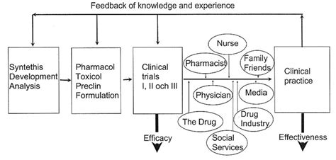 The Drug Development Process And Factors Influencing Efficacy And