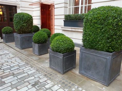 Rosewood Cube Lead Planters Planters Driveway Design House Front