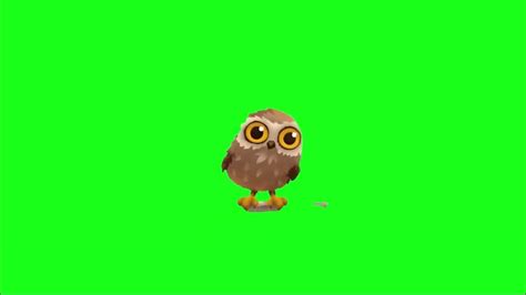 Green Screen Owl Animated Graphics For Videos Free To Use Youtube