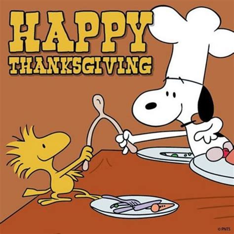 Woodstock & Snoopy Happy Thanksgiving Quote Pictures, Photos, and