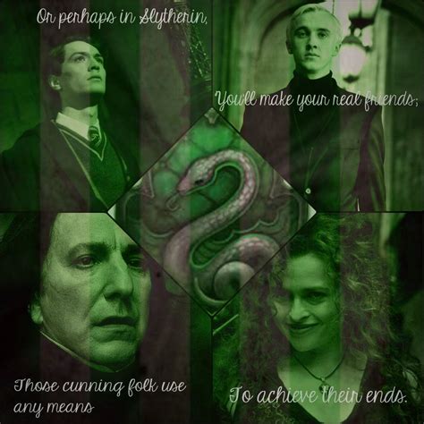 A Collage Of Photos With The Words Harry Potter And Hermiones Snakes
