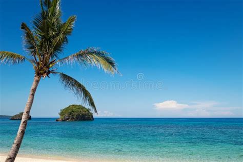 Turquoise Ocean Water And Blue Sky With Palm Tree Stock Photo Image