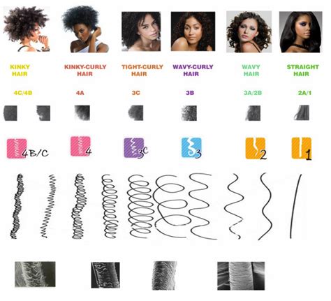 How To Test Your Hair Type