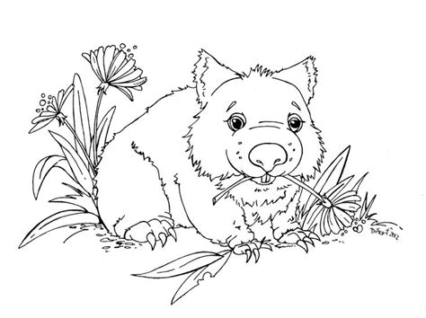 15 Free Printable Wombat Coloring Pages Keranmerryn