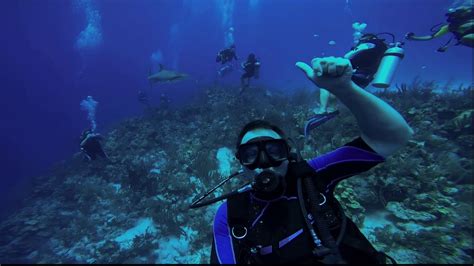 Diving The Blue Hole In Belize Youtube