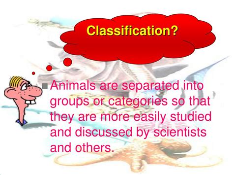Ppt Classification Powerpoint Presentation Free Download Id4446208