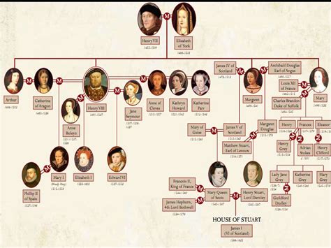 War Of The Roses Genealogy Chart Style Pinterest