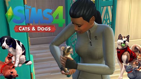 The Sims 4 Caniandgatti Ep 1 Procione Rumoroso E Tenerello Youtube