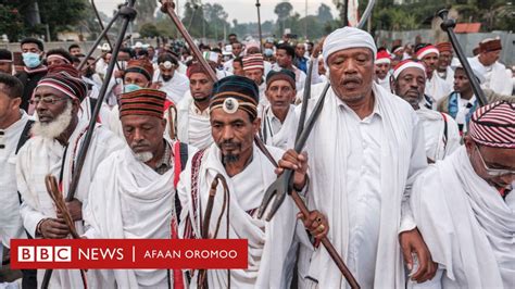 Hambaan Oromoo Unescotti Galamaae Sirni Gadaa Maaliif Akkaafi Bakka