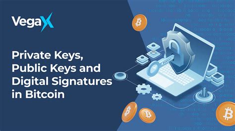 Private Keys Public Keys And Digital Signatures In Bitcoin — Vegax