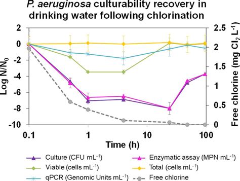 Recovery Of Pseudomonas Aeruginosa Culturability Following Copper‐ And