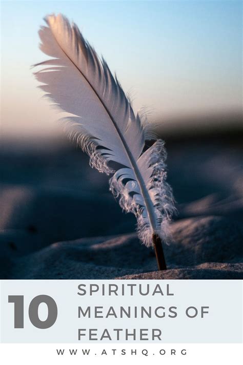 Feather Symbolism 10 Spiritual Meanings Of Feather
