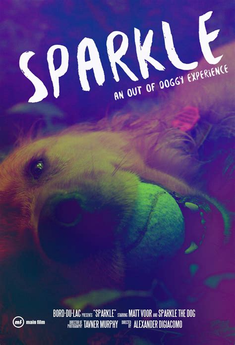 Sparkle - The Film