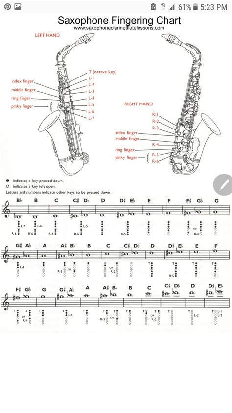 Saxophone Embouchure Artofit