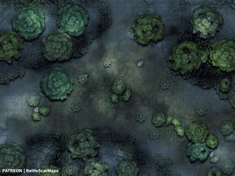 Forest Clearing Battle Map Dnd Battle Map Dandd Battlemap Etsy