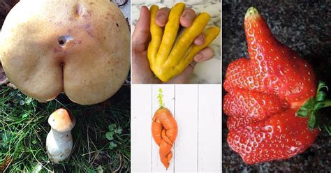 Fruits And Vegetables That Looked Like Something Else