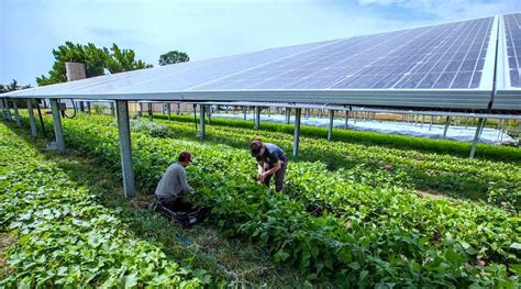 Agriculture Ministry To Give One Million Farms In Thailand Solar Panels