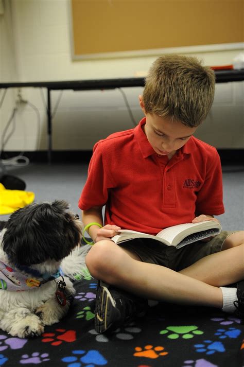 That's as unreasonable as expecting a child to never here are some reasons why dogs bark: TOP 10 Reasons Why You Should Get Your Child a Dog - Top ...