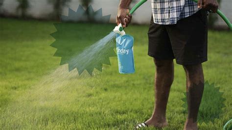 Late afternoon is also a good time. Sunday Lawn Care Takes the Dangerous Chemicals Out of a Green Lawn