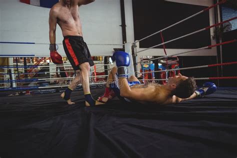 Boxers Fighting In Boxing Ring Stock Image Image Of Approaching