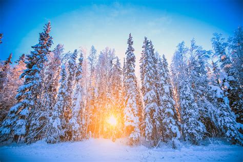 Alaska's winter solstice explained - Princess Lodges
