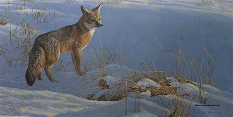 Robert Bateman Swift Fox Wildlife Art Fox Painting Wildlife Paintings