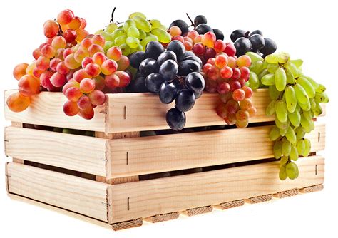 Fruit Box For Your Produce