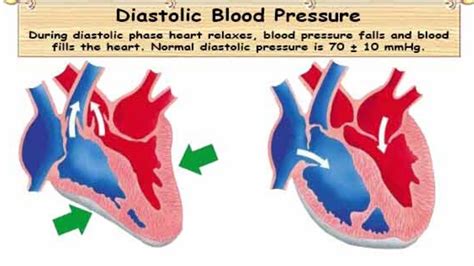 Lower Blood Pressure Naturally Tips To Lower Diastolic Blood Pressure