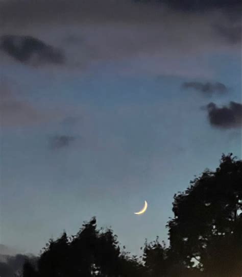 Moon Forrest Moon In The Sky Sunset Cloudy Skies Aesthetic Sky